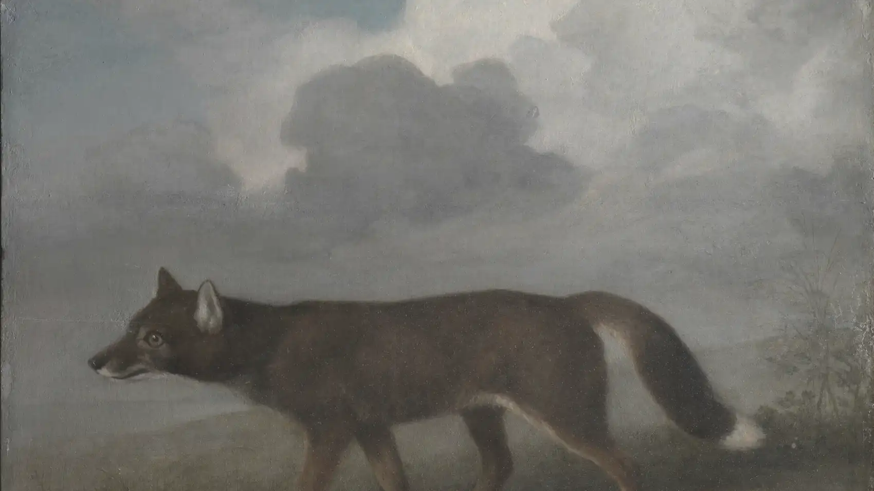 Portrait of a Large Dog, 1772
