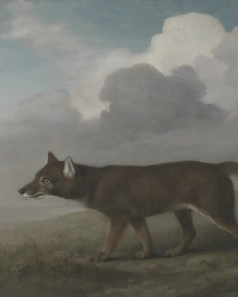 Portrait of a Large Dog, detail